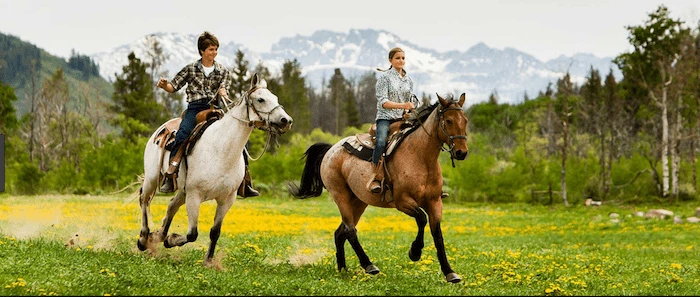 Confident plus-size woman riding New Scarborough a horse through a field with a smile on her face.